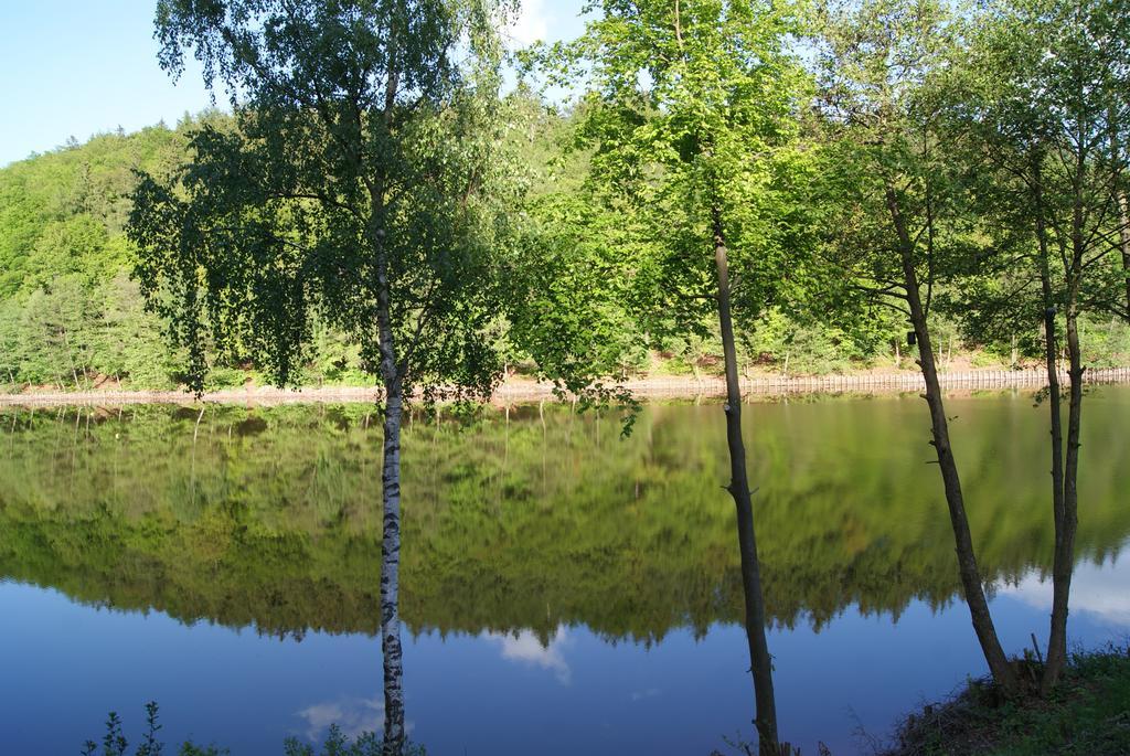 Ferienwohnung Seeperle Wettelrode Екстериор снимка